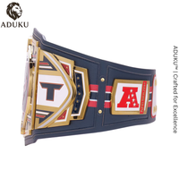 Houston Texans WWE x NFL Replica Legacy Title Belt