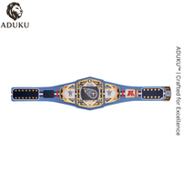 Tennessee Titans WWE x NFL Replica Legacy Title Belt