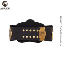 WWE Tag Team Championship Replica Title Belt